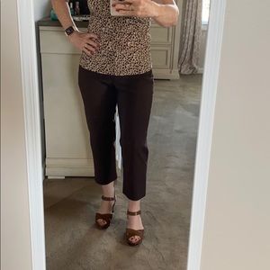 Apt 9 brown dress capris